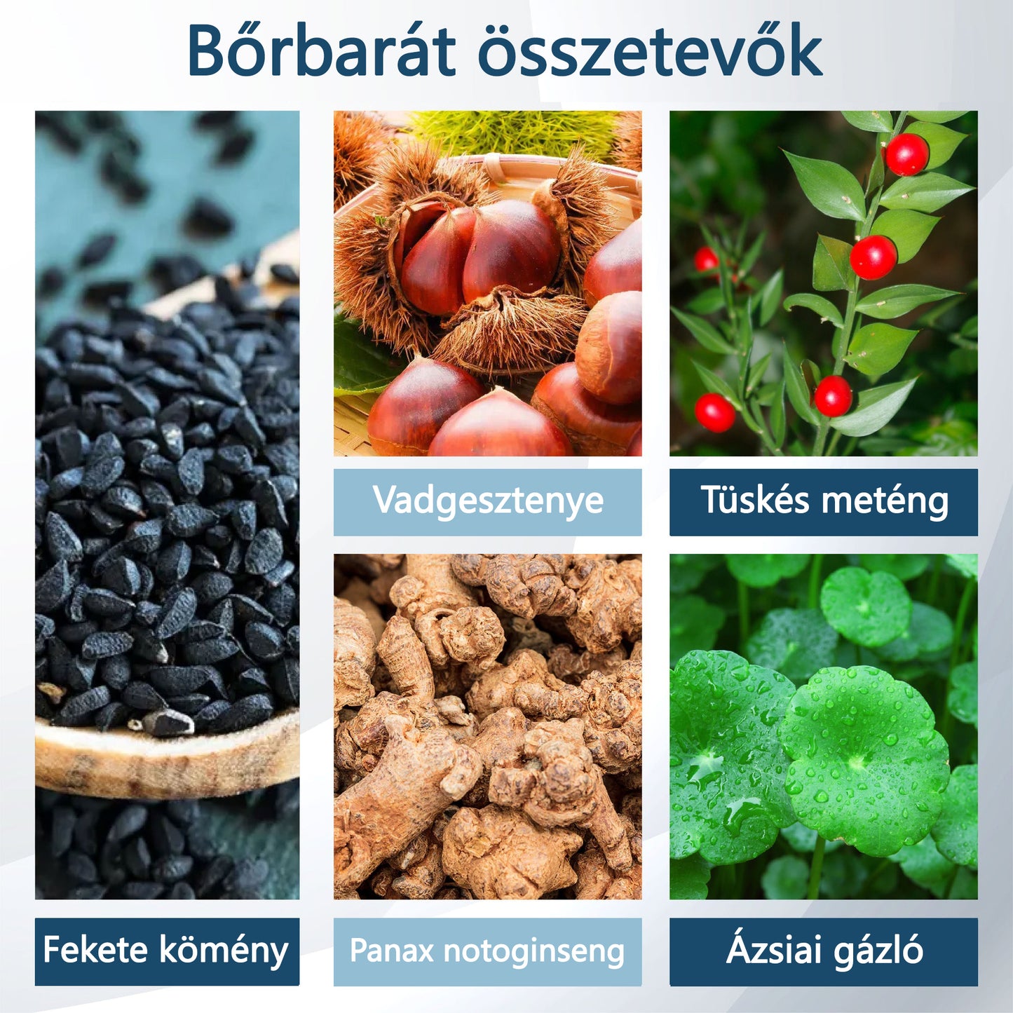 ✅✅ODEIUN® Fekete kömény Ödéma méregtelenítő gyógynövénykrém