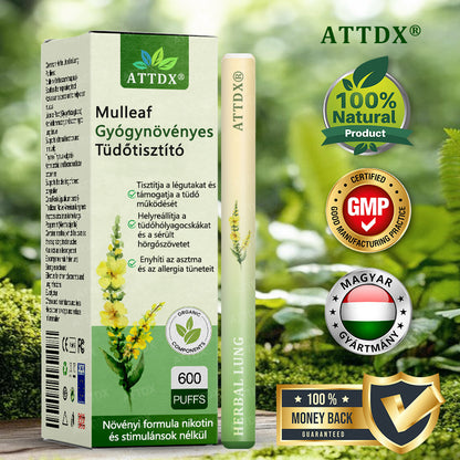ATTDX® Mulleaf gyógynövényes tüdőtisztító🌿