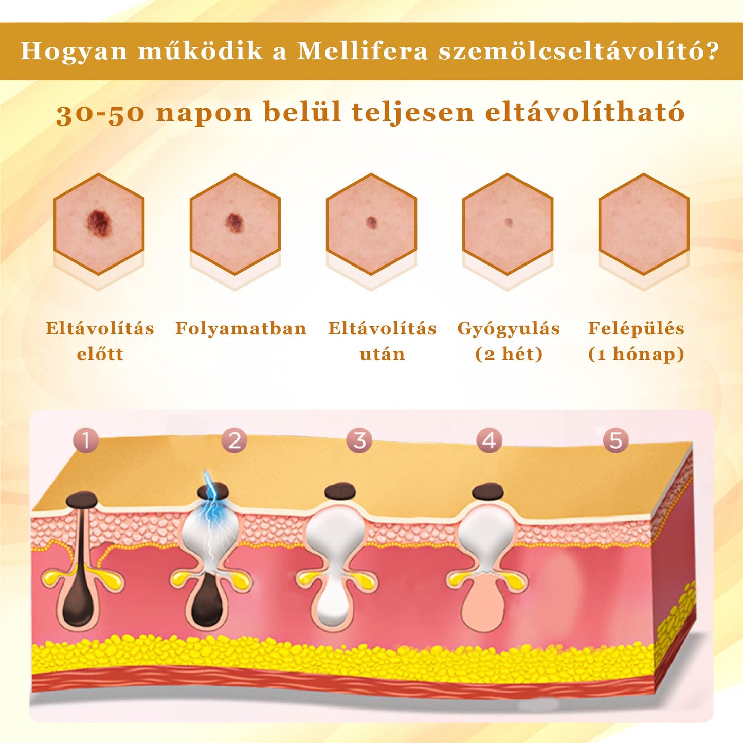 Croaie® Mellifera-méreg sűrítése bőrregeneráló krém💖